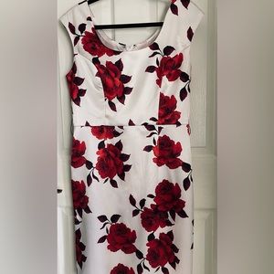 Cute Isadora 🌹collection sheath size 10 white dress with big roses